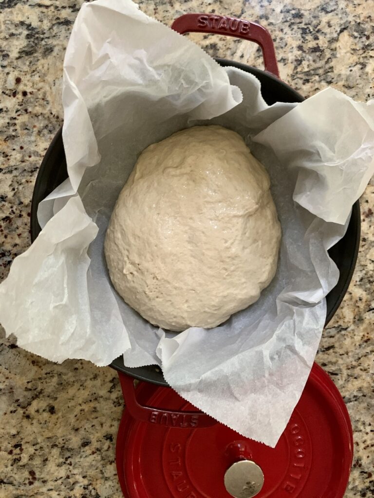 place dough into dutch oven