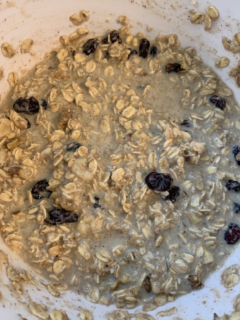 Strawberry Craisin Oatmeal Bites