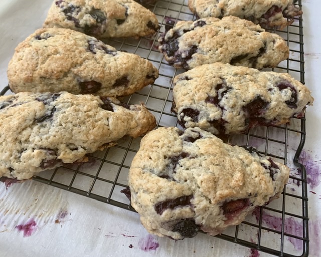 Quick and Bursting with Blueberries Scones